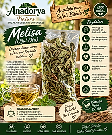 Melisa