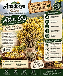 Altınotu