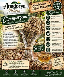 Civanperçemi