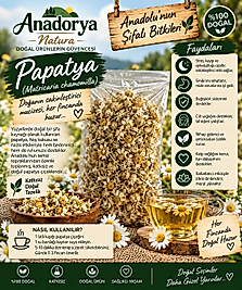 Papatya
