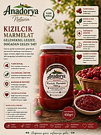 Kızılcık Marmelatı 450 Gram
