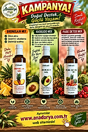 Detox 3'lu Set