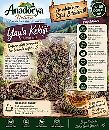 Yayla Kekiği