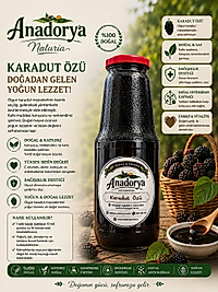 Karadut Özü-Tanesiz-1350 ml